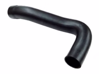 GTP2156